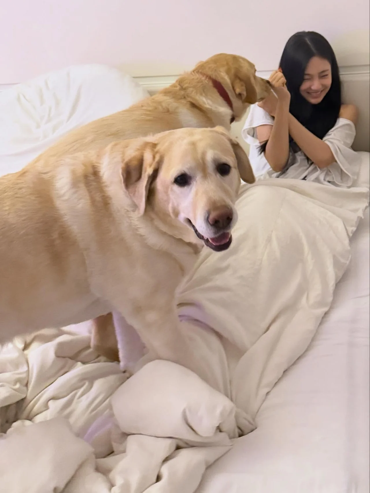 引用:ニンニンのInstagramアカウント