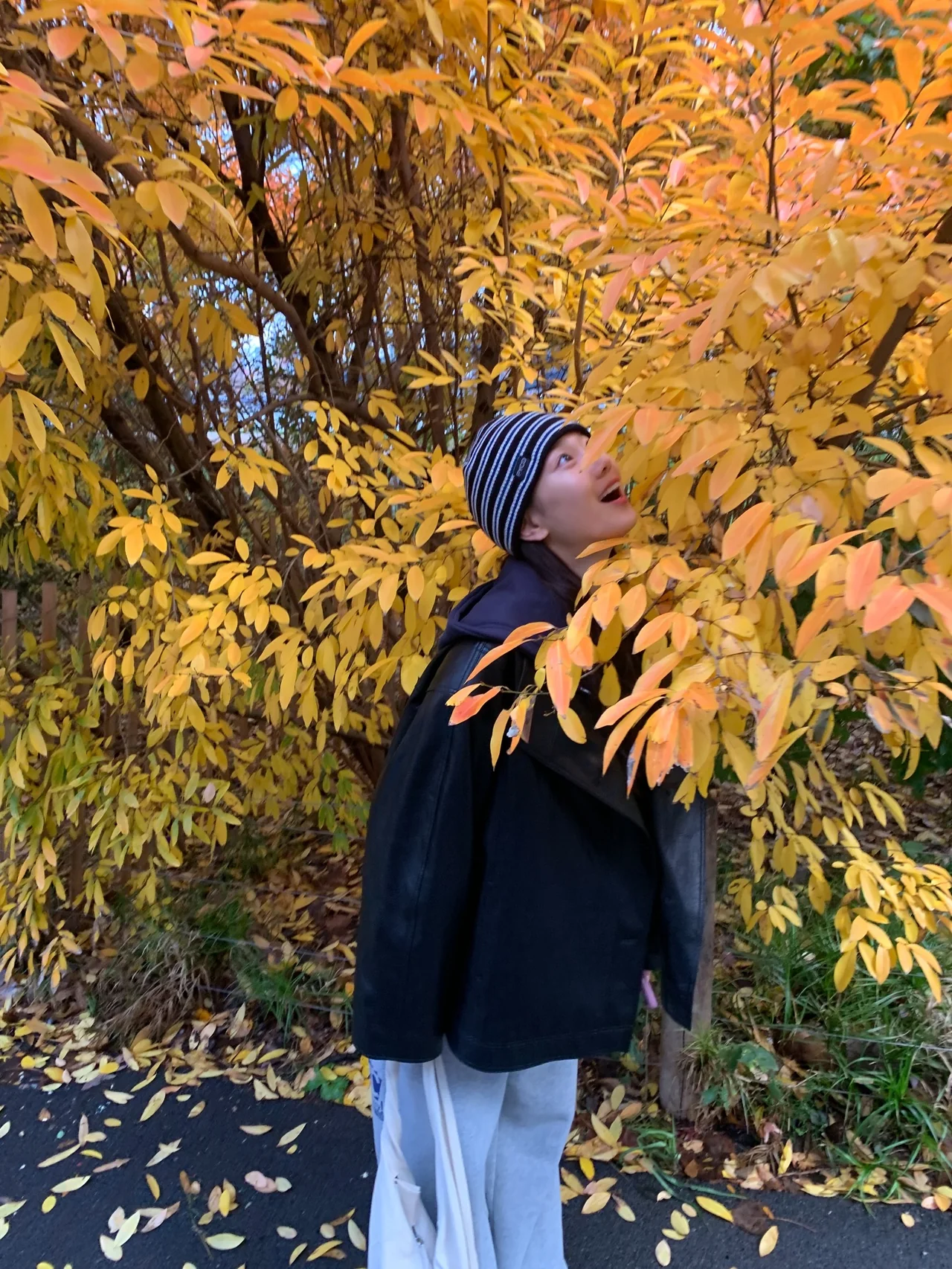 引用:チャン・ヒリョンのInstagramアカウント